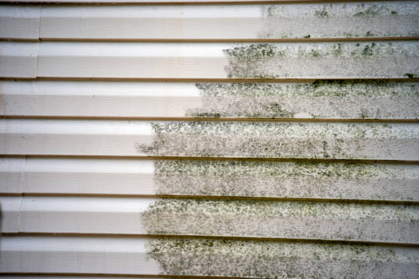 Best Storm Damage Siding Repair  in Andrews, IN