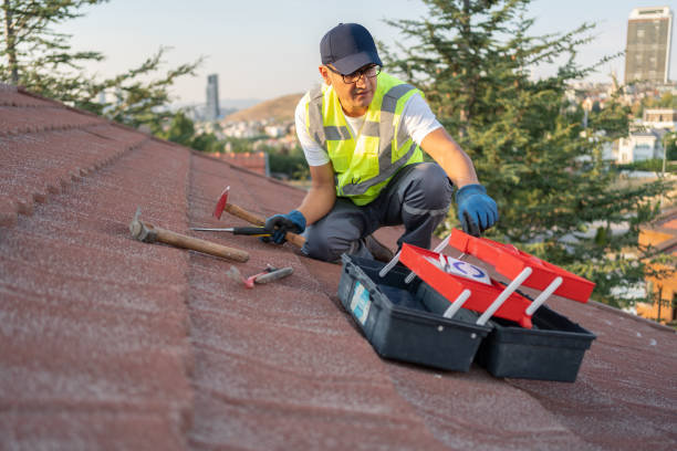 Best Fiber Cement Siding Installation  in Andrews, IN